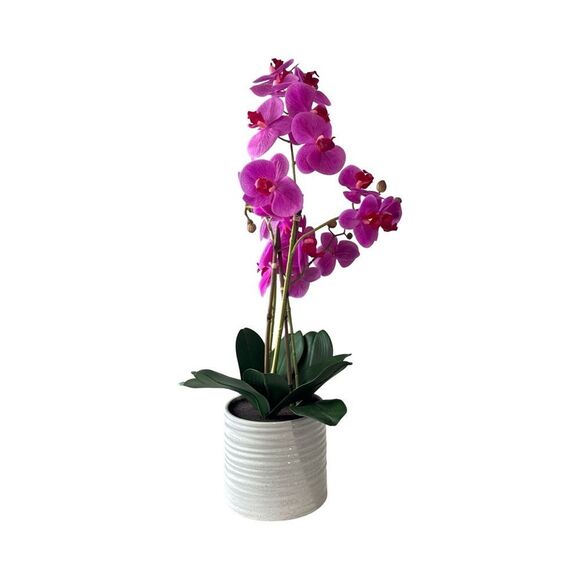 Elegant Pink Orchid in White Pot - Picture 2 of 2